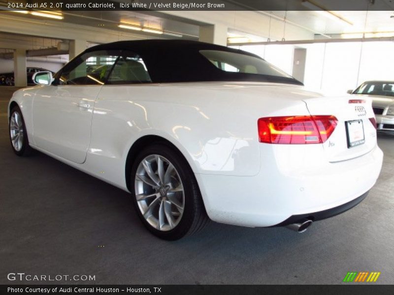 Ibis White / Velvet Beige/Moor Brown 2014 Audi A5 2.0T quattro Cabriolet