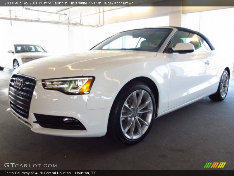 Ibis White / Velvet Beige/Moor Brown 2014 Audi A5 2.0T quattro Cabriolet