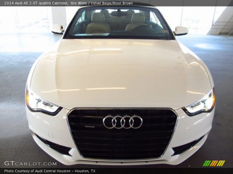 Ibis White / Velvet Beige/Moor Brown 2014 Audi A5 2.0T quattro Cabriolet