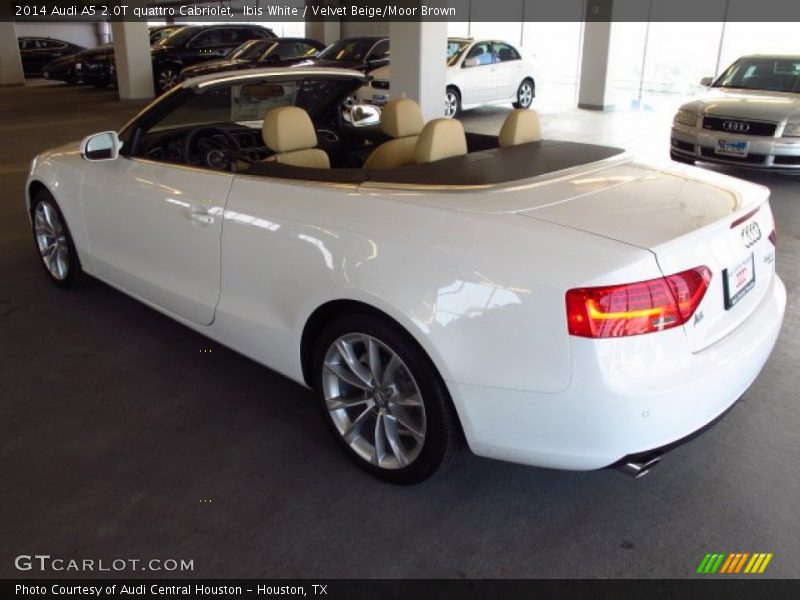 Ibis White / Velvet Beige/Moor Brown 2014 Audi A5 2.0T quattro Cabriolet