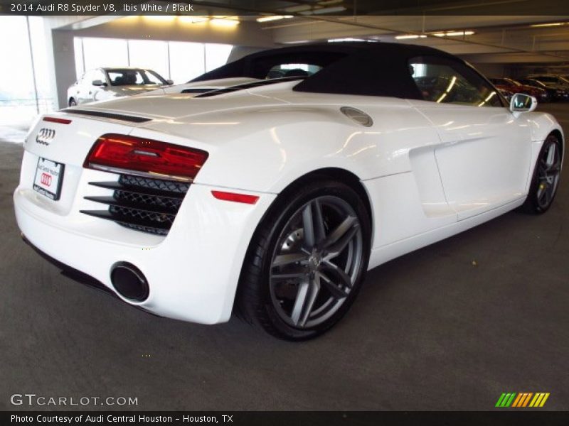 Ibis White / Black 2014 Audi R8 Spyder V8