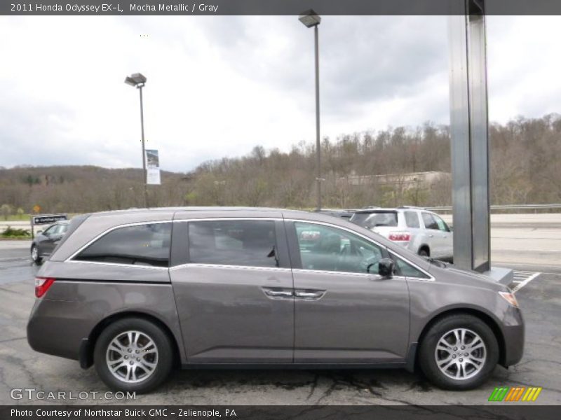 Mocha Metallic / Gray 2011 Honda Odyssey EX-L