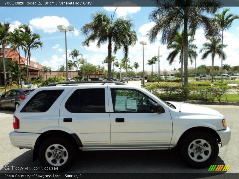 Bright Silver Metallic / Gray 2001 Isuzu Rodeo LS