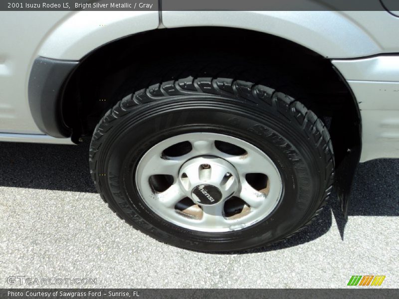 Bright Silver Metallic / Gray 2001 Isuzu Rodeo LS