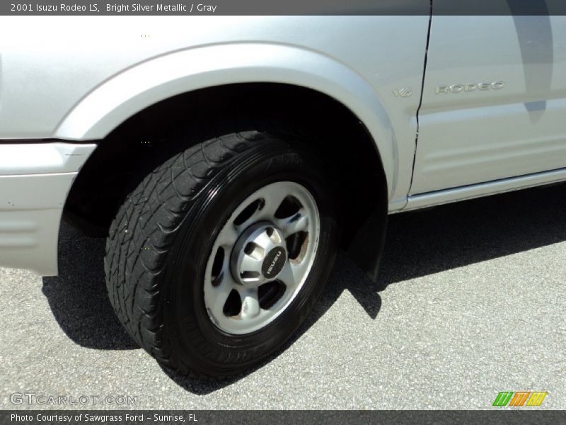 Bright Silver Metallic / Gray 2001 Isuzu Rodeo LS