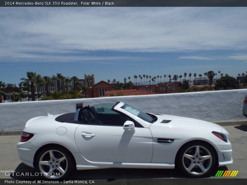  2014 SLK 350 Roadster Polar White