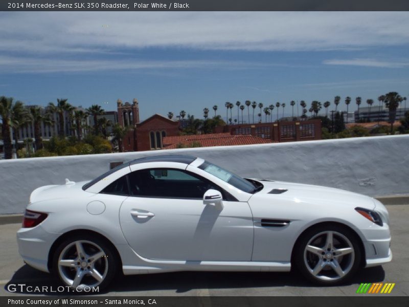  2014 SLK 350 Roadster Polar White