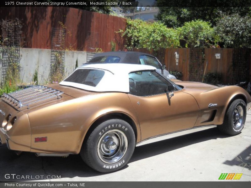 Medium Saddle / Black 1975 Chevrolet Corvette Stingray Convertible