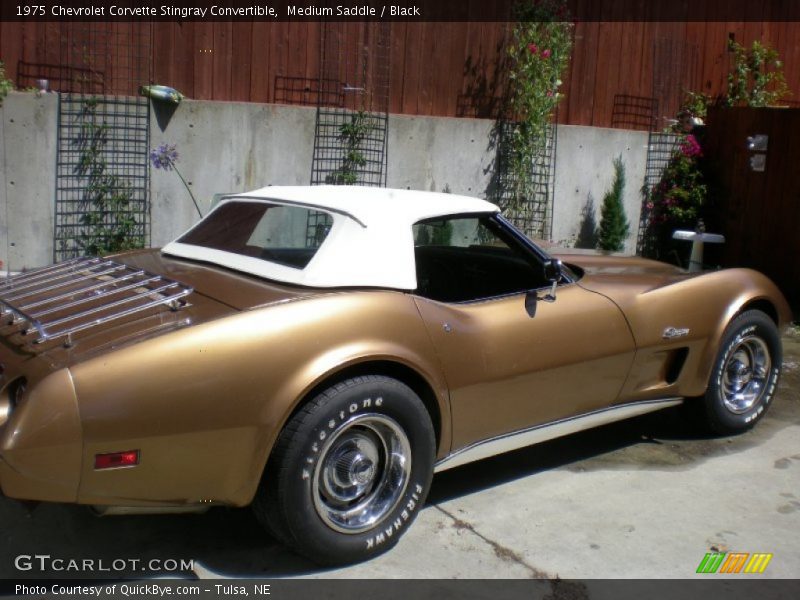 Medium Saddle / Black 1975 Chevrolet Corvette Stingray Convertible