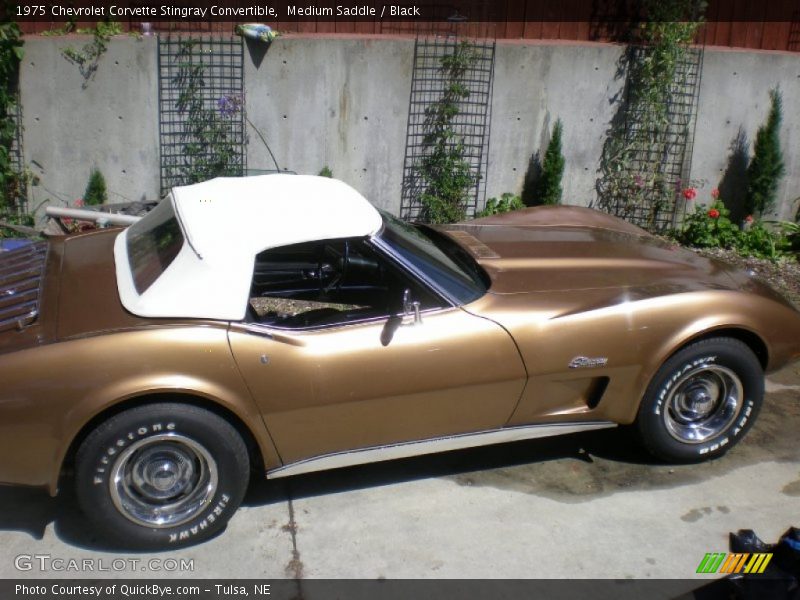 Medium Saddle / Black 1975 Chevrolet Corvette Stingray Convertible