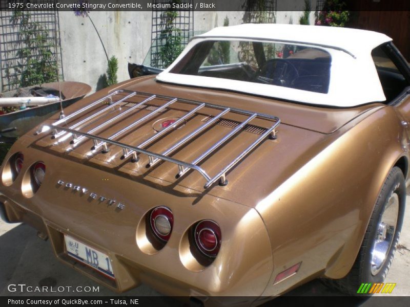 Medium Saddle / Black 1975 Chevrolet Corvette Stingray Convertible