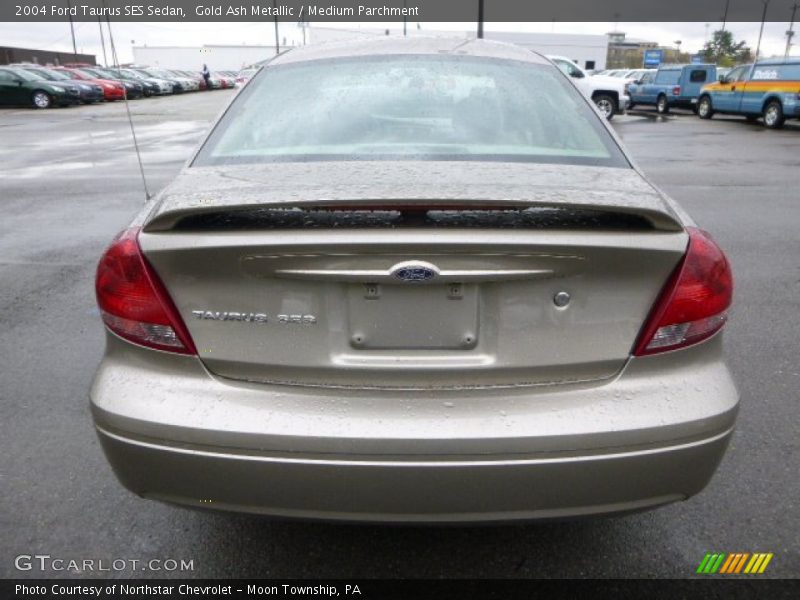 Gold Ash Metallic / Medium Parchment 2004 Ford Taurus SES Sedan