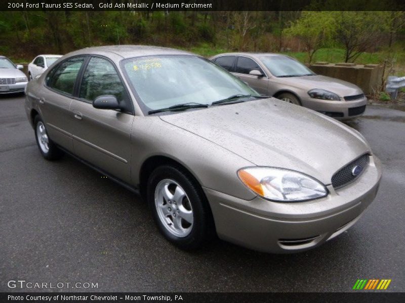Gold Ash Metallic / Medium Parchment 2004 Ford Taurus SES Sedan