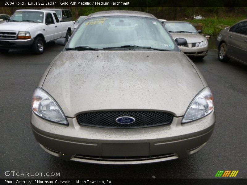 Gold Ash Metallic / Medium Parchment 2004 Ford Taurus SES Sedan