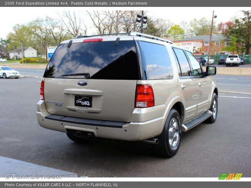 Pueblo Gold Metallic / Medium Parchment 2005 Ford Expedition Limited 4x4