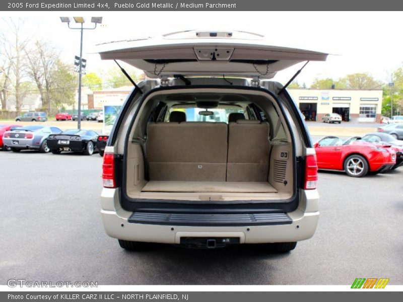 Pueblo Gold Metallic / Medium Parchment 2005 Ford Expedition Limited 4x4