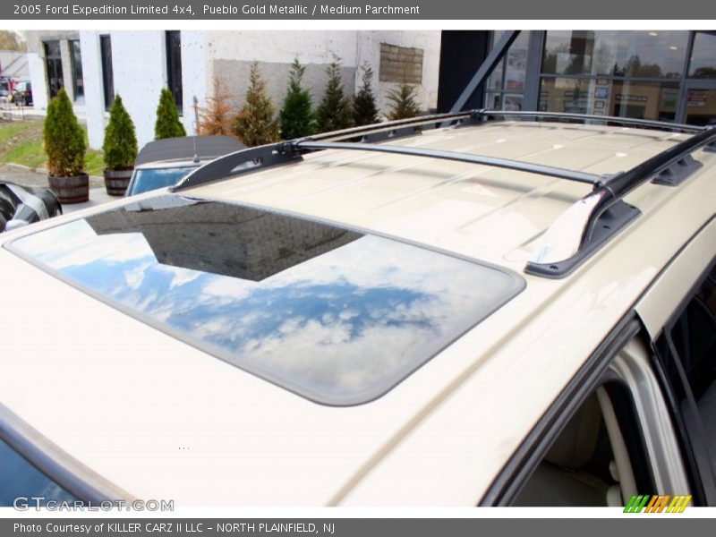 Pueblo Gold Metallic / Medium Parchment 2005 Ford Expedition Limited 4x4