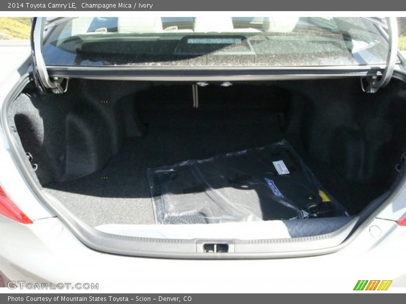 Champagne Mica / Ivory 2014 Toyota Camry LE