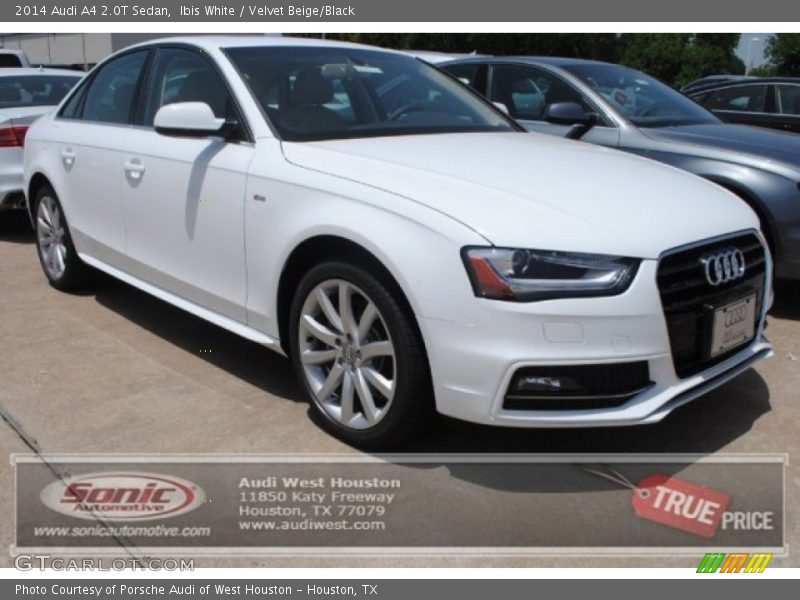 Ibis White / Velvet Beige/Black 2014 Audi A4 2.0T Sedan