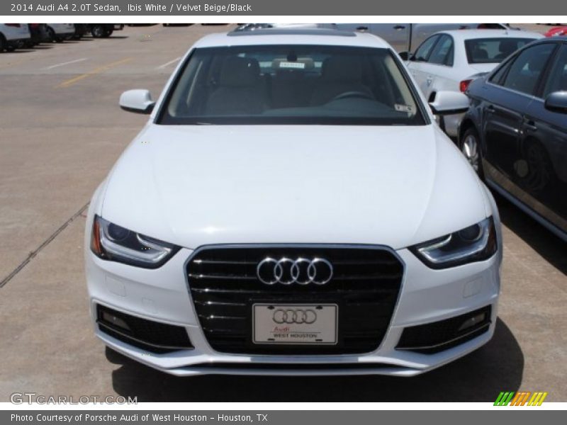 Ibis White / Velvet Beige/Black 2014 Audi A4 2.0T Sedan