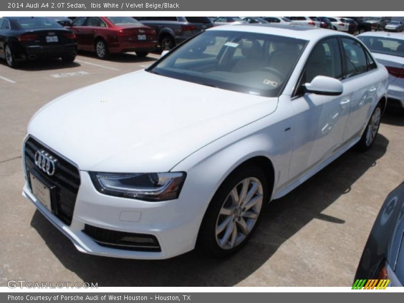 Ibis White / Velvet Beige/Black 2014 Audi A4 2.0T Sedan