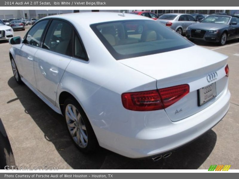 Ibis White / Velvet Beige/Black 2014 Audi A4 2.0T Sedan