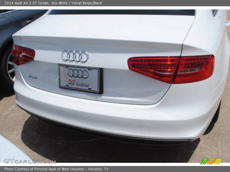 Ibis White / Velvet Beige/Black 2014 Audi A4 2.0T Sedan