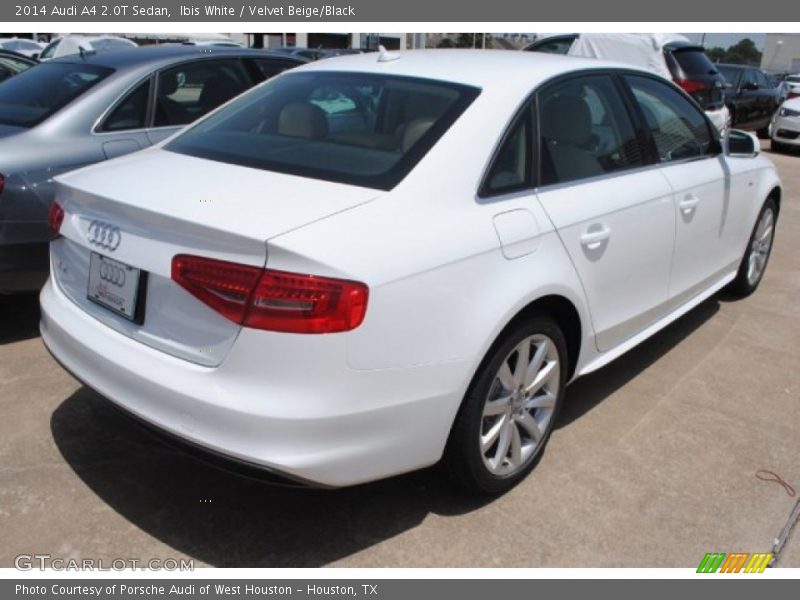 Ibis White / Velvet Beige/Black 2014 Audi A4 2.0T Sedan