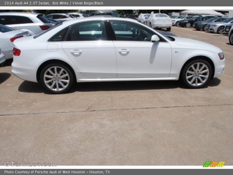 Ibis White / Velvet Beige/Black 2014 Audi A4 2.0T Sedan