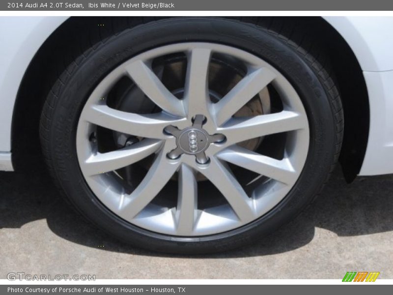 Ibis White / Velvet Beige/Black 2014 Audi A4 2.0T Sedan