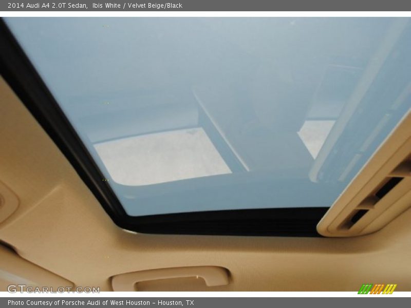 Ibis White / Velvet Beige/Black 2014 Audi A4 2.0T Sedan