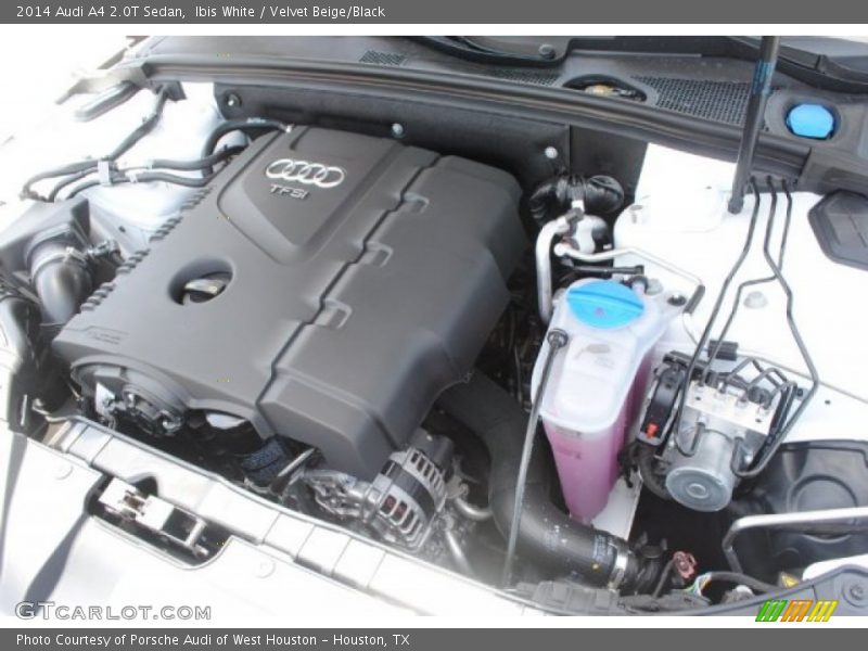 Ibis White / Velvet Beige/Black 2014 Audi A4 2.0T Sedan