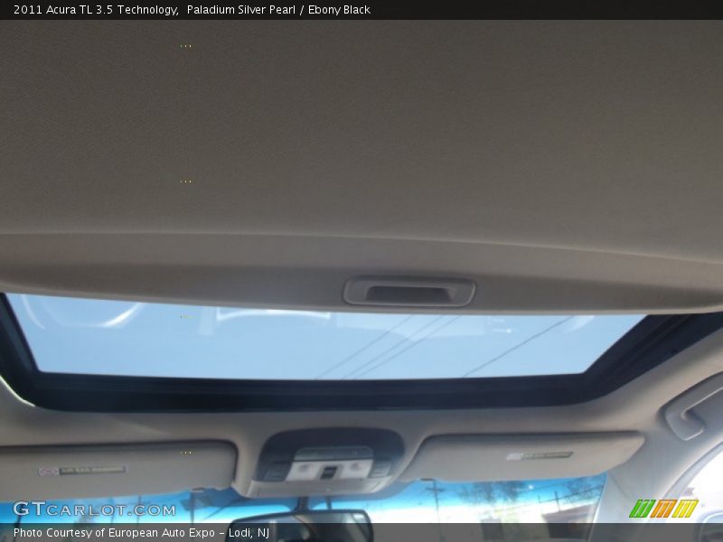 Paladium Silver Pearl / Ebony Black 2011 Acura TL 3.5 Technology