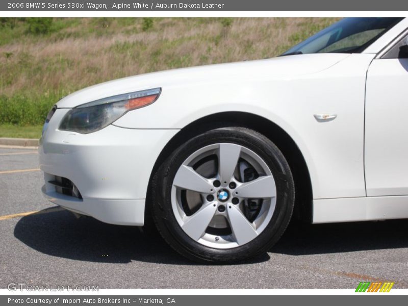 Alpine White / Auburn Dakota Leather 2006 BMW 5 Series 530xi Wagon