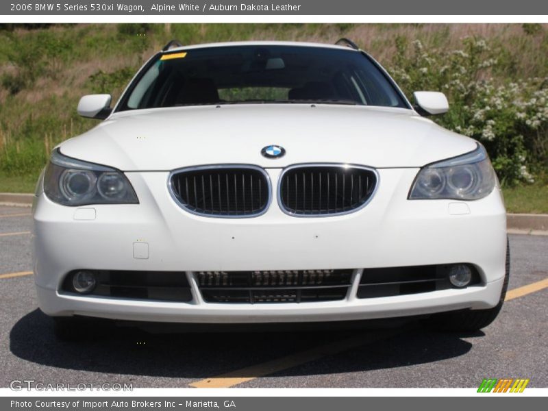 Alpine White / Auburn Dakota Leather 2006 BMW 5 Series 530xi Wagon