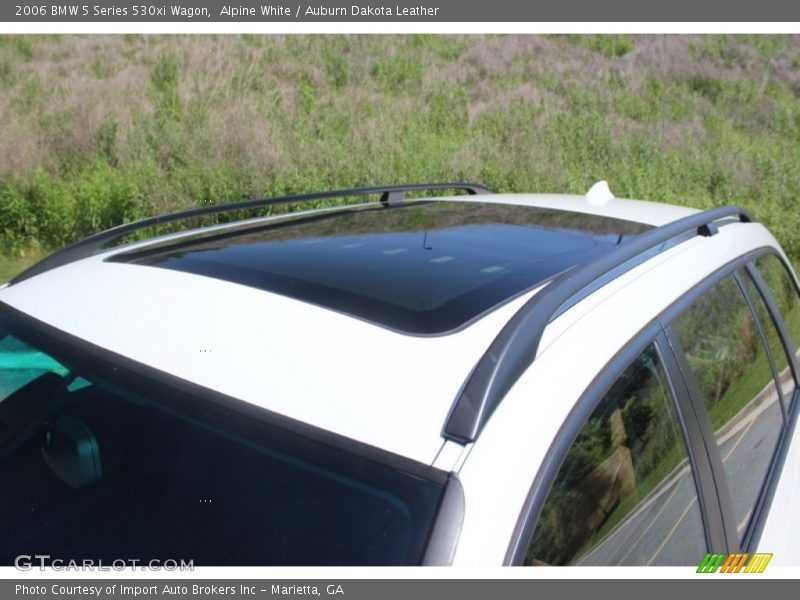 Alpine White / Auburn Dakota Leather 2006 BMW 5 Series 530xi Wagon