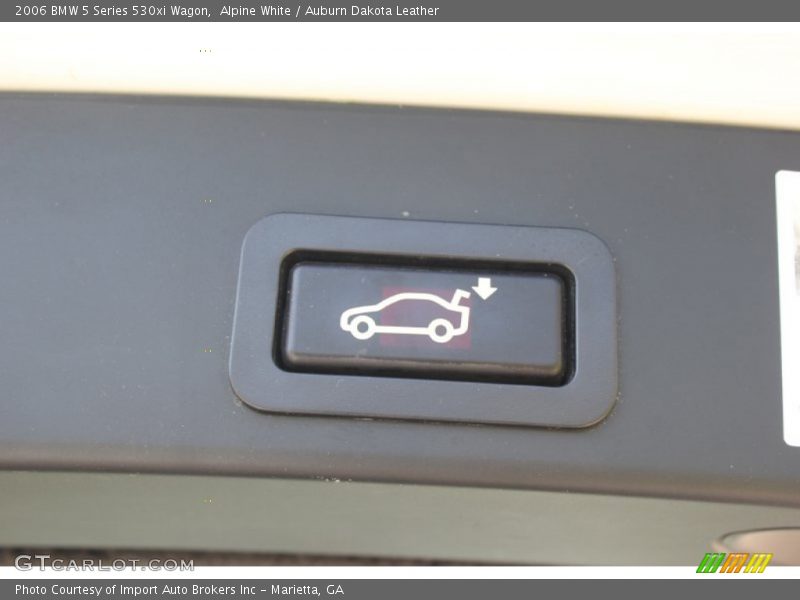 Alpine White / Auburn Dakota Leather 2006 BMW 5 Series 530xi Wagon
