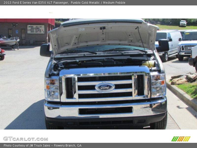 Pueblo Gold Metallic / Medium Pebble 2013 Ford E Series Van E350 XLT Passenger