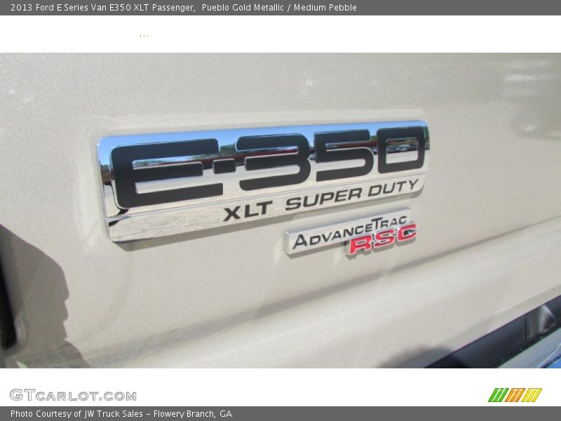 Pueblo Gold Metallic / Medium Pebble 2013 Ford E Series Van E350 XLT Passenger