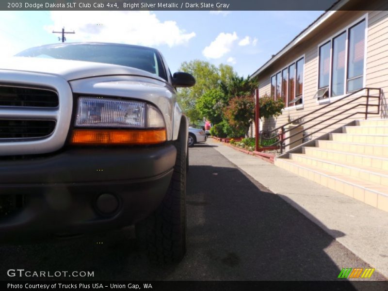 Bright Silver Metallic / Dark Slate Gray 2003 Dodge Dakota SLT Club Cab 4x4