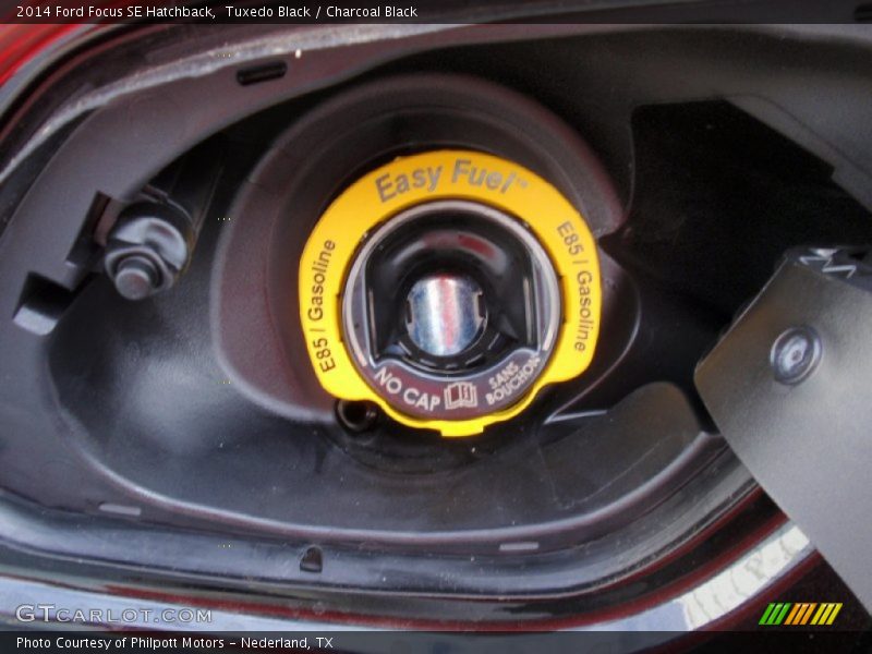 Tuxedo Black / Charcoal Black 2014 Ford Focus SE Hatchback