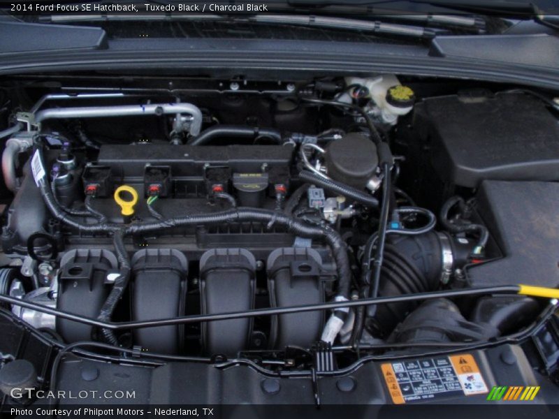 Tuxedo Black / Charcoal Black 2014 Ford Focus SE Hatchback