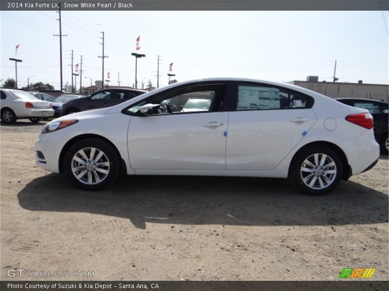 Snow White Pearl / Black 2014 Kia Forte LX
