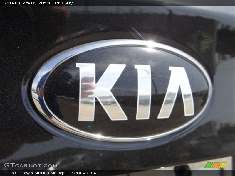 Aurora Black / Gray 2014 Kia Forte LX