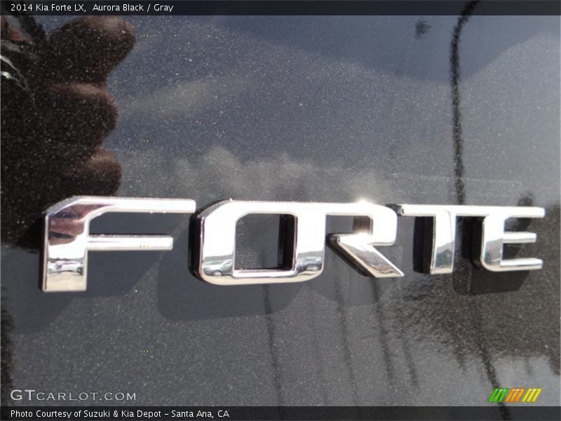 Aurora Black / Gray 2014 Kia Forte LX