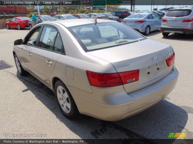 Camel Pearl / Camel 2009 Hyundai Sonata GLS