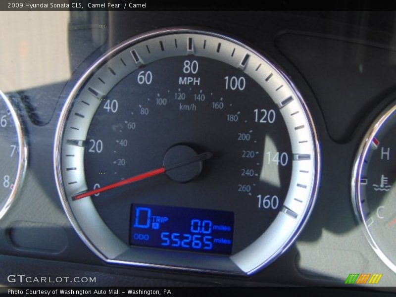 Camel Pearl / Camel 2009 Hyundai Sonata GLS