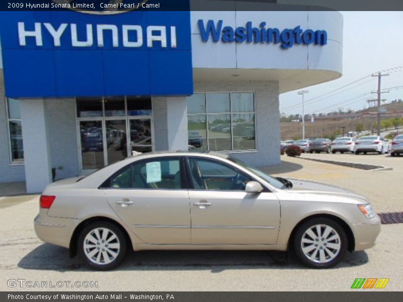 Camel Pearl / Camel 2009 Hyundai Sonata Limited