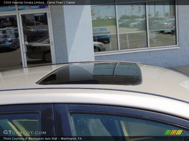 Camel Pearl / Camel 2009 Hyundai Sonata Limited