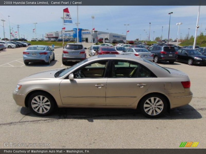 Camel Pearl / Camel 2009 Hyundai Sonata Limited